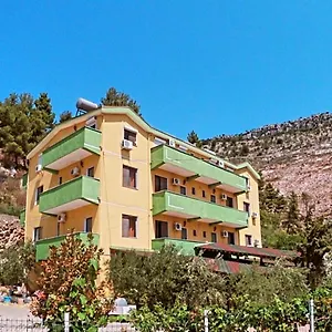 Bolonja Shëngjin